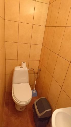 Un baño de Sfinks