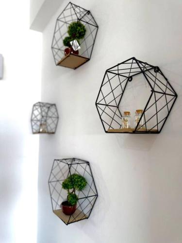 four black geometric wall shelves with plants on a wall at telMar city in Larnaka