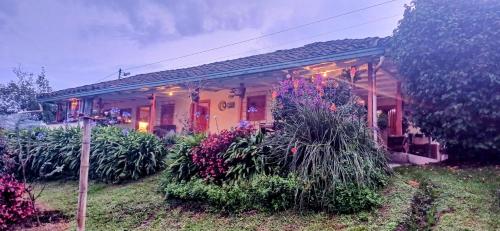 a house with flowers and plants in front of it at La jinquita in La Unión