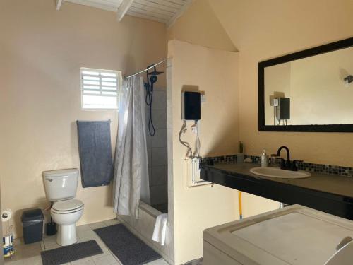 a bathroom with a toilet and a sink and a mirror at Hibiscus Apartment in Corinthe