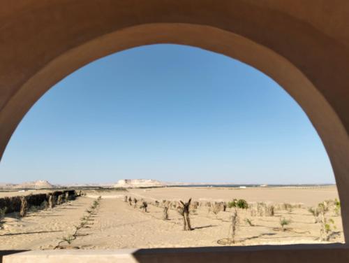 a view of the desert through an archway at sabrina camp in Siwa