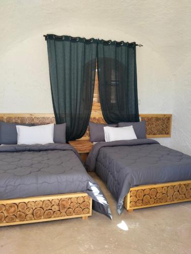 two beds in a room with green curtains at sabrina camp in Siwa