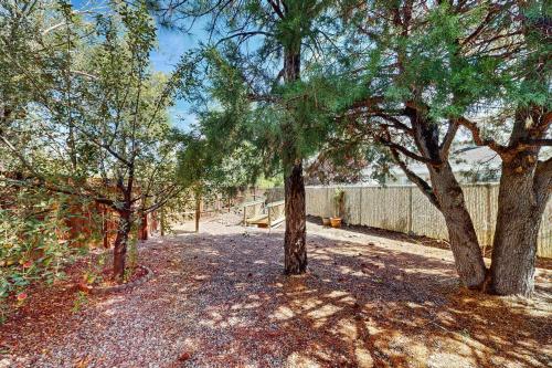 a group of trees in a yard with a fence at Wandering Pine Retreat in Show Low