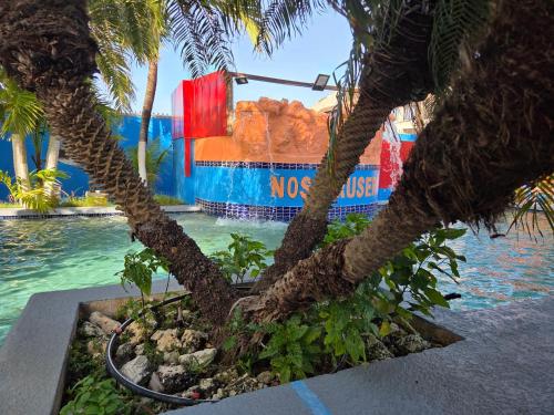 a boat in the water with two palm trees at Nos Krusero Apartments in Sabana Westpunt