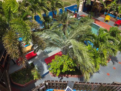 an overhead view of a swimming pool with palm trees at Nos Krusero Apartments in Sabana Westpunt