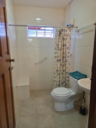 a bathroom with a toilet and a shower and a sink at Nos Krusero Apartments in Sabana Westpunt