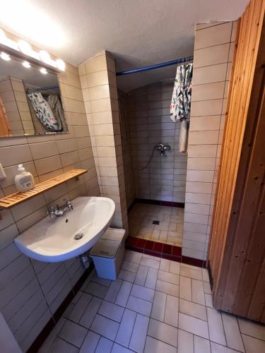 a bathroom with a sink and a shower at Landhaus Nitsch Appartement - Gästehaus Nitsch Appartement in Prinzendorf an der Zaya