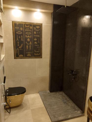 a bathroom with a shower and a bath tub at RAFiF Pyramids View Hotel in Cairo