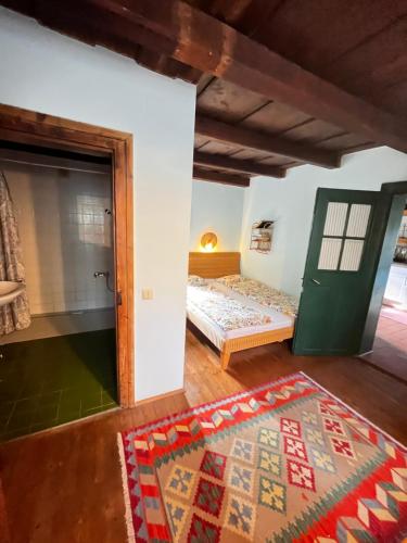 a room with a bed and a green door at Landhaus Nitsch Appartement - Gästehaus Nitsch Appartement in Prinzendorf an der Zaya