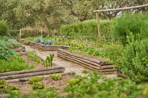 a garden with several wooden pallets in a field at Poggio Piglia in Chiusi