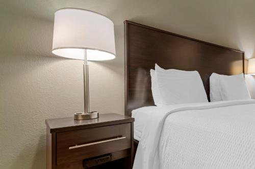 a bedroom with a bed and a lamp on a nightstand at Red Roof Inn Dumas in Dumas