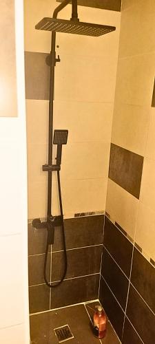 a shower in a bathroom with a black and white tile at Charmante maison familiale proche Bordeaux in Floirac