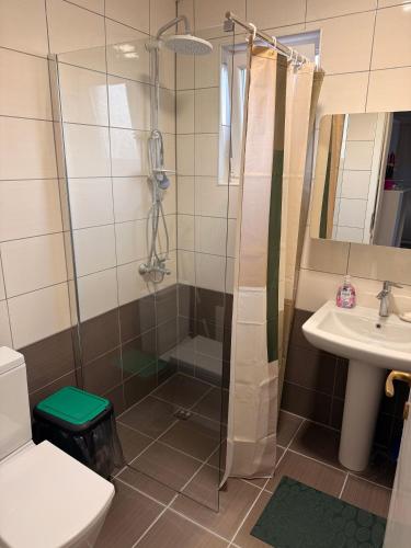 a bathroom with a shower and a toilet and a sink at Apartment in Prishtina, Kosovo in Pristina