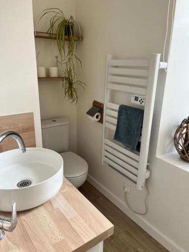 a bathroom with a sink and a toilet at Gites les Pourquoi Pas - Résidence de Tourisme DSV Bayeux in Bayeux