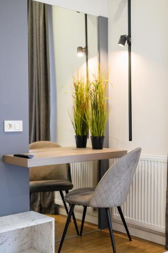 a table and a chair with plants on it at Luxury Apartments Babyak in Uzhhorod