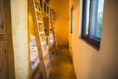 a row of bunk beds in a room with a window at Hostel 197 in Nungwi