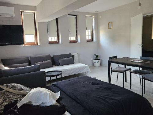 a living room with a couch and a table at Jois Apartments Periam in Periam