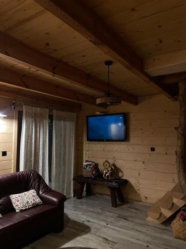a living room with a couch and a tv on a wall at Chatka przy lesie Roztocze Szewnia Dolna 74 22-442 in Szewnia