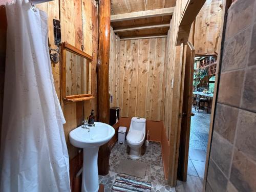 a bathroom with a toilet and a sink at Casa Colibri Chirripó in Herradura