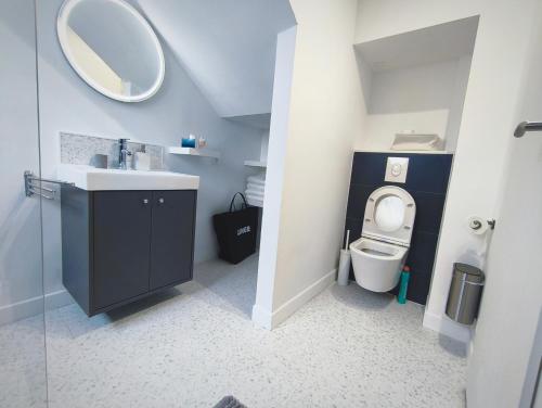 ブレストにあるL'Azur - Appartement spacieux - Arrivée Autonomeのバスルーム(洗面台、鏡付きトイレ付)