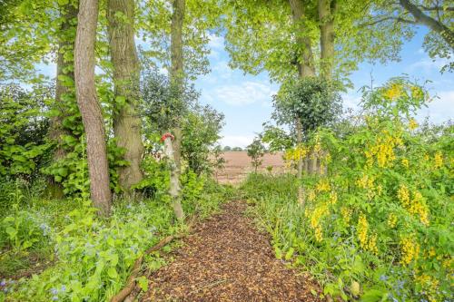 a path through a forest with trees and flowers at Firs End in North Walsham