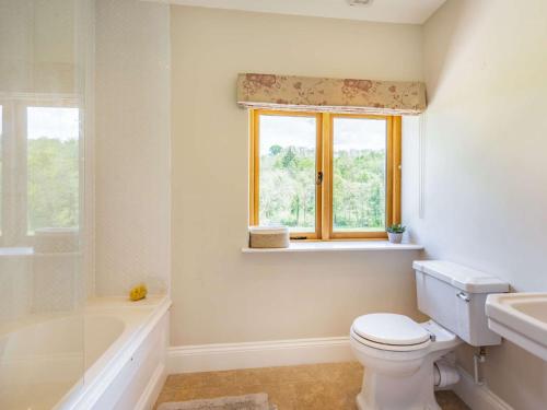 a bathroom with a toilet and a sink and a window at 4 Bed in Chirk 87675 in Chirk