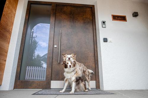 Domácí mazlíčci ubytovaní s hosty v ubytování Chalets Dolomit Royal