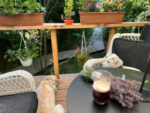 Μπαλκόνι ή βεράντα στο Coco Glamping & Retreat