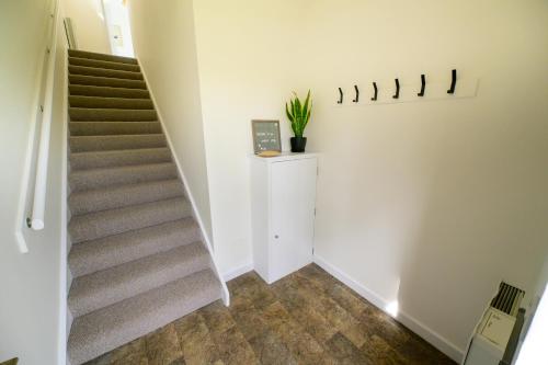 a staircase in a house with a plant on the wall at 2 Bed Property, Beauly in Beauly