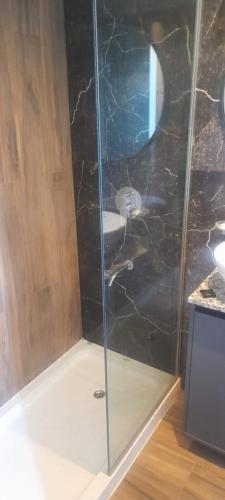 ゴドイ・クルスにあるAires Andinosの浴室のガラス扉付きシャワー