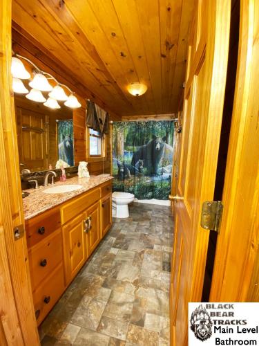 a bathroom with a sink and a toilet in a cabin at Black Bear Tracks in Gatlinburg