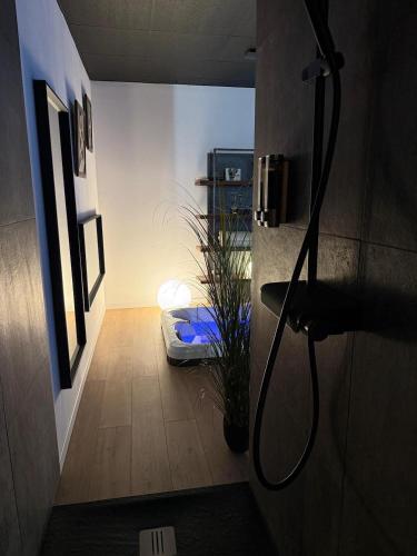 a bathroom with a shower in a room at Les lofts du Château de Posset in Teloché
