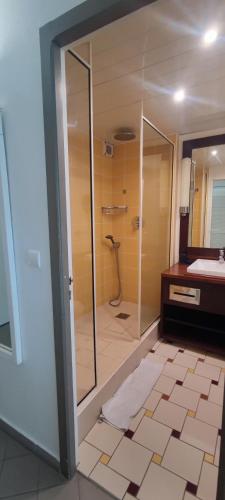 a bathroom with a shower and a sink and a toilet at Studio Luxe vue mer in Le Gosier