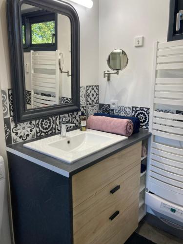 un bagno con lavandino e specchio di Au carrefour de la Bretagne a La Motte