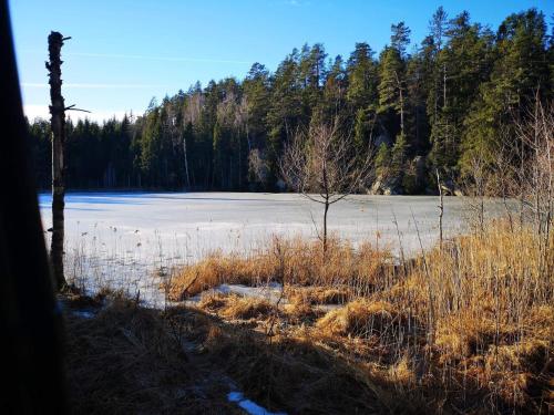 a large frozen lake with trees in the background at 4 person holiday home in Brålanda in Brålanda