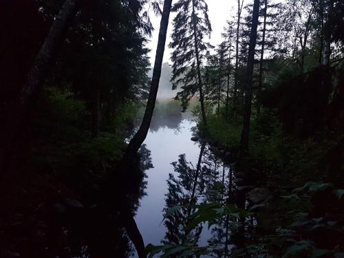 a river in the middle of a forest at 4 person holiday home in Brålanda in Brålanda