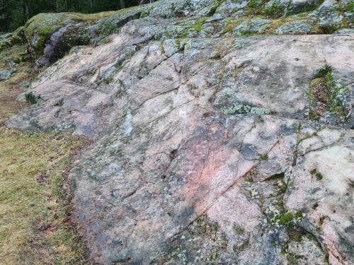 a large rock with moss on top of it at 5 person holiday home in MUNKEDAL-By Traum in Munkedal