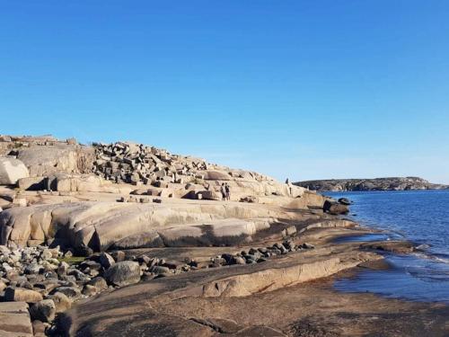 a group of seals sitting on the rocks by the water at 4 star holiday home in Hamburgsund in Hamburgsund