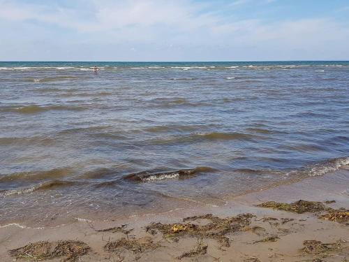 a body of water with the sand and waves at Nice apartment near the beach-By Traum in Mellbystrand