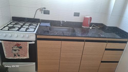 Η κουζίνα ή μικρή κουζίνα στο Depto 85 y 10