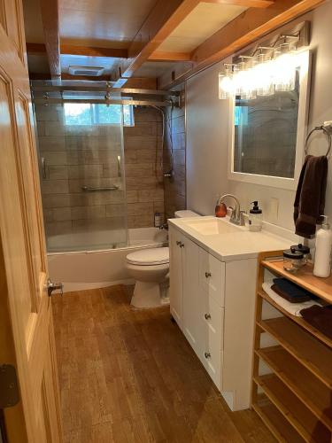 a bathroom with a toilet and a sink and a shower at Still Point in the Woods in Ashland