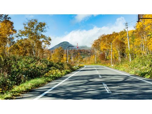 an empty road with trees and a mountain in the background at Skye Niseko - Vacation STAY 70602v in Niseko