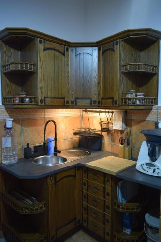 a kitchen with wooden cabinets and a sink at Casa do Chico in Mértola