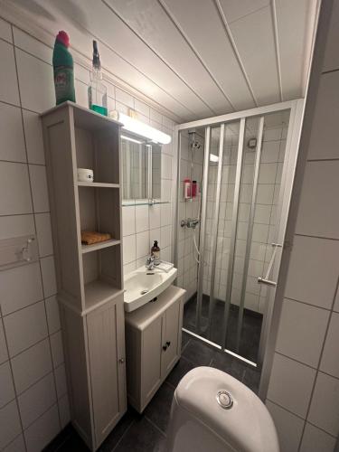 a bathroom with a toilet and a sink and a shower at Basement apartment in beautiful Volda in Volda