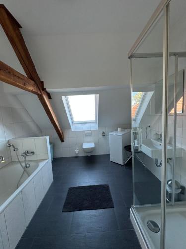 a bathroom with a sink and a toilet and a shower at Apartmenthouse Singen in Singen