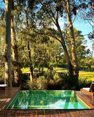 a swimming pool on a deck with trees in the background at Al Natural Posada in Nueva Palmira