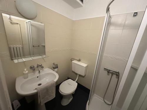 a bathroom with a sink and a toilet and a shower at Hotel Olimpijski in Tarnowskie Góry