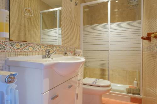 a bathroom with a sink and a toilet at Casa Maza Apartamentos in Biescas