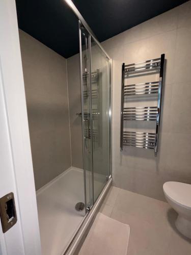 a bathroom with a shower and a toilet at Corporate Nest Sallins in Balnacart