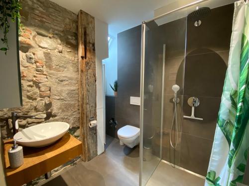 a bathroom with a shower and a toilet and a sink at Tiny Old Town Studio in Bern
